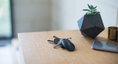 Sicherheitsschlüsselanhänger - Ajax SpaceControl